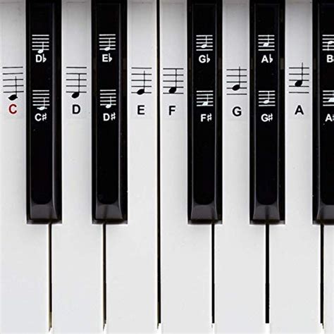 Die weiße taste, wo das f liegt, wird zu eis. 09/2020 Tastenschablone Klavier: Die aktuellen TOP Modelle ...