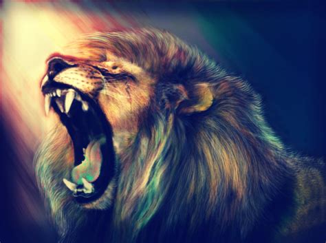 20 Best Lion Wallpaper Backgrounds To Download Graphic Cloud