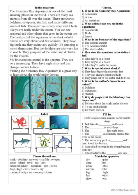 6 Aquarium English Esl Worksheets Pdf And Doc