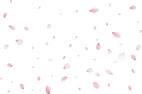 Pink Sakura Petals Png