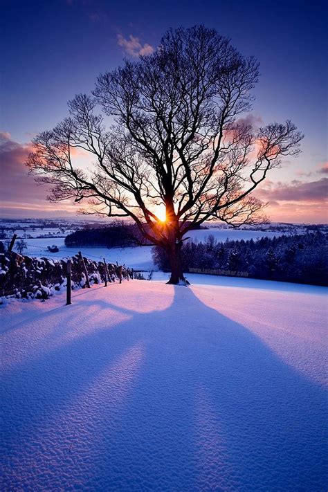 Pin Von Hannelore Habicht Auf Winter ☃️⛄ Winter Sonnenuntergang