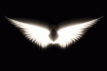 Angel Wings Gif Angel Wings Fly Discover Share Gifs