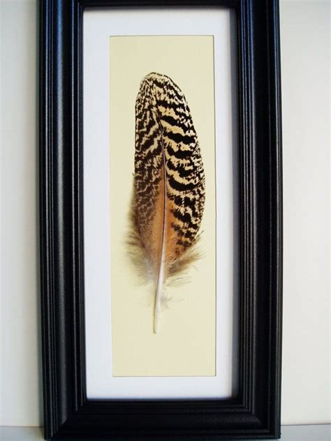 Framed Feather I Could Do This With My Pheasant Feather Pheasant