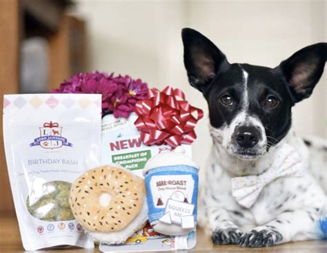 Happy Birthday Sweet Henry Organic Homemade Vegan Dog Treats Are