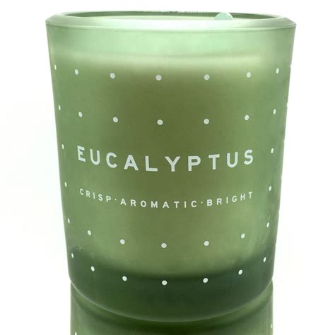 Dw Home Eucalyptus Richly Scented Candle In A Heavy Beveled Glass Jar