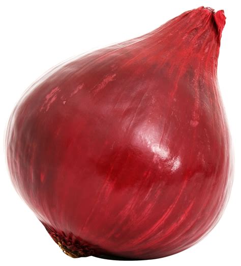 Red Onion Bulb PNG image - PngPix png image