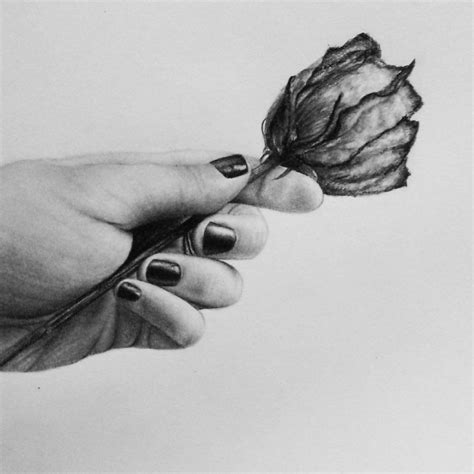 Hand Holding A Rose By Xluciintheskyx On Deviantart
