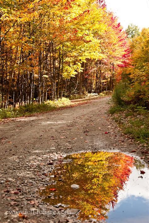 Back Roads Of Maine In Fall Jeff Maine In The Fall