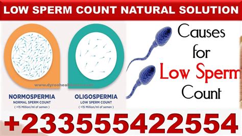 LOW SPERM COUNT TREATMENT SYMPTOMS CAUSES