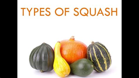 Let's take a look at the different types of condoms so you can choose the one that'll work best for you. Types of Squash - YouTube