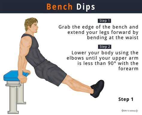 Bench Dips Tricep Dips What Is It How To Do Muscles Worked Born