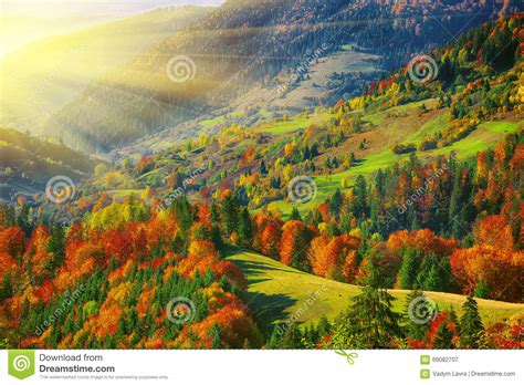 The Mountain Autumn Landscape With Colorful Forest Stock