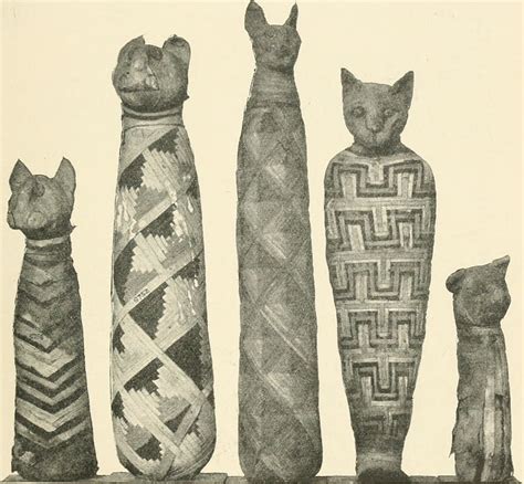 Here is the master list of irish names. Cats in ancient Egypt - Wikipedia