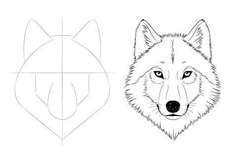 How To Draw A Wolf Face And Head Step By Step Easydrawingtips Wolf