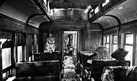 Ride The Ghost Train David Yarrow Photography