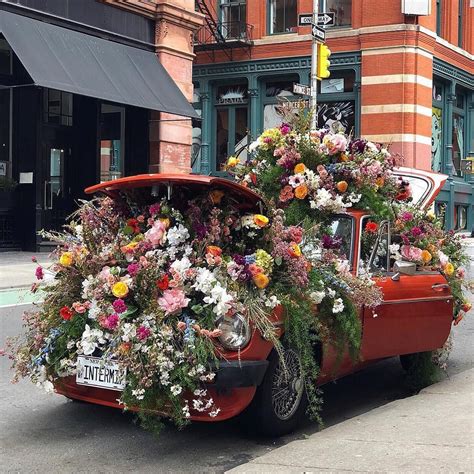 Plants Spark Joy On Instagram Floral Overload 💐 What A Cool Display