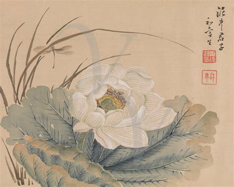 Japanese Lotus Flower Painting Fine Art Print Opium Of The Poets