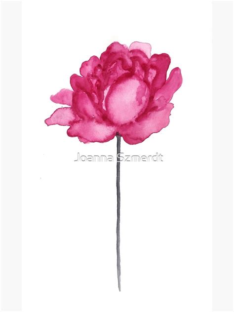 Peony Floral Watercolor Painting Illustration Magenta Pink Flower