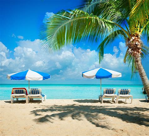 Caribbean Beach Backdrop Tropical Palm Backdrop Background Etsy Uk