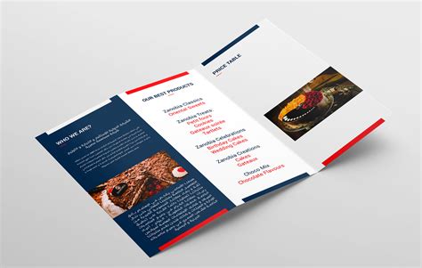 Brochure Design On Behance
