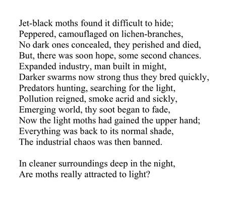 Isabel Thomas Poem Moth