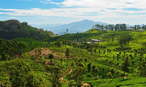 A Backpackers Guide To Sri Lanka A One Month Itinerary Places To