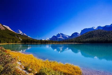 Sunwapta Lake Jasper National Park In Alberta Canada