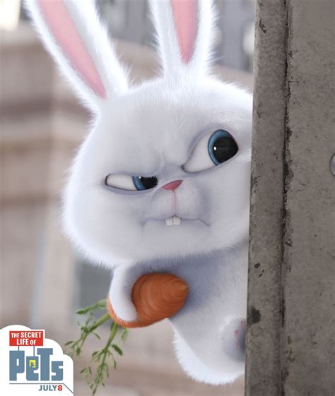 Snowball The Rabbit Is Fluffy White Dynamite The Secret Life Of Pets