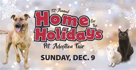 When you adopt a pet, you will need to sign a pet adoption agreement and, to protect your newest family member, you will also want to set up a pet protection agreement. Irvine Hosts 12th Annual Home for the Holidays Pet ...