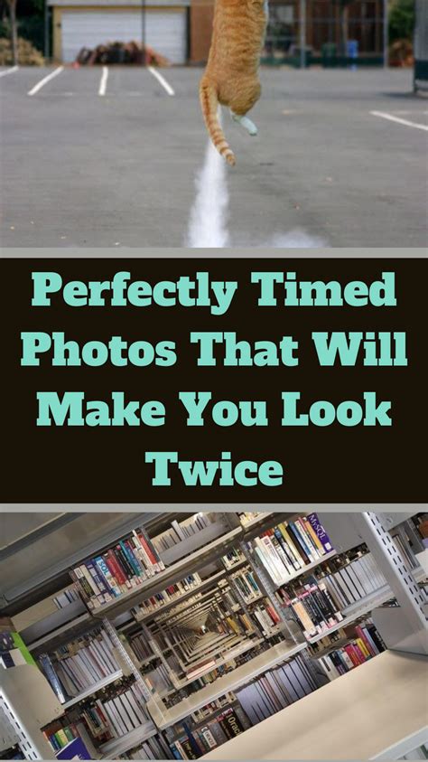 Perfectly Timed Photos That Will Make You Look Twice Perfectly Timed
