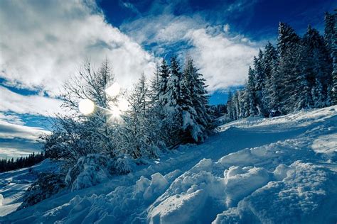 200 Free Winter Wonderland And Winter Images Pixabay
