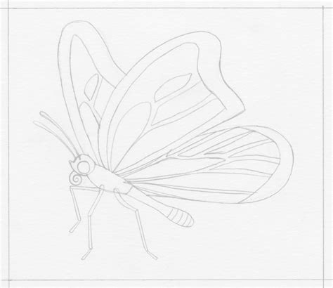 Creative Easy Pencil Drawings Of Flowers And Butterflies Draw Heat