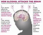 How alcohol attacks the brain