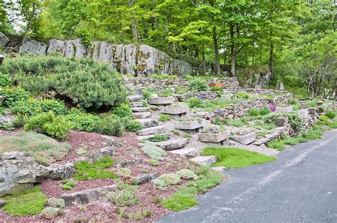 12 Hillside Landscaping Ideas To Maximize Your Yard