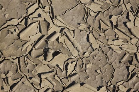 Cracked Earth Cracked Soil Texture Of Grungy Dry Cracking Parched