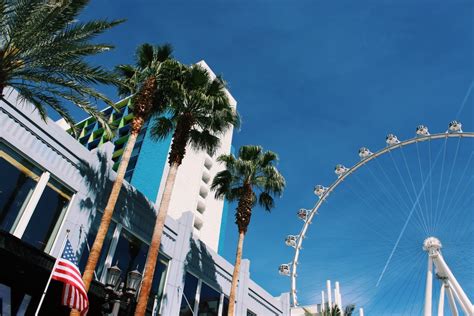 36 Hours In Las Vegas Nevada Itinerary Palm Trees