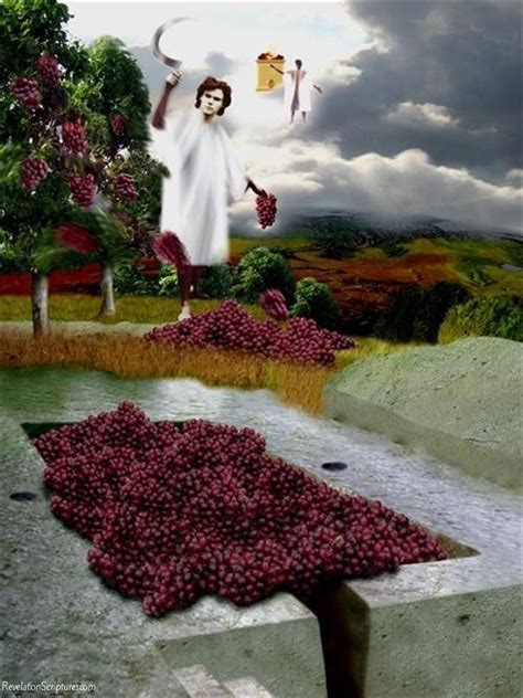 Harvest Of Grapes See You In Heaven
