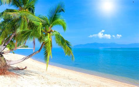 Caribbean Beach Desktop Wallpapers Top Free Caribbean Beach Desktop Backgrounds Wallpaperaccess