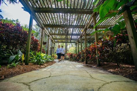 20 Easy City Hikes In Tampa Bay For Social Distancing Tampa