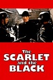 Watch The Scarlet and the Black Full Movie Online | Download HD, Bluray ...