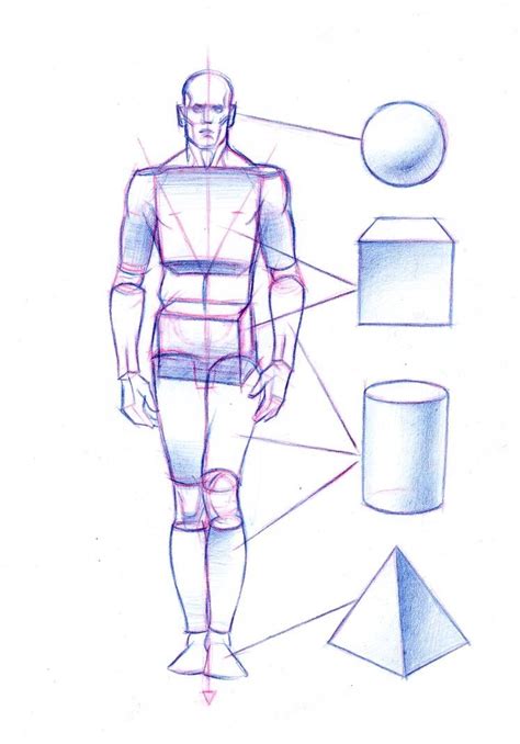 The Geometric Elements In The Body By Abdonjromero On Deviantart Human