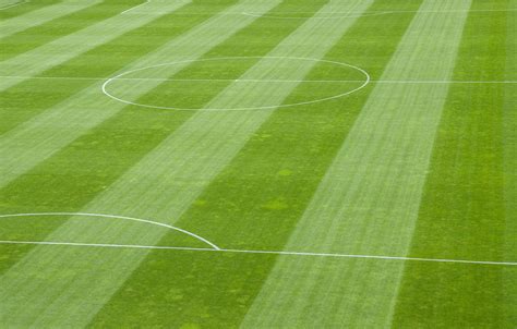 Football Pitch Construction Grassform