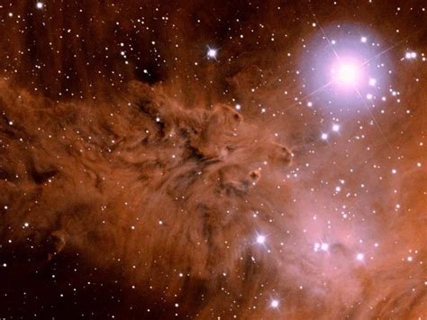Fur Fox Nebula Ngc 2264 Is A Cloud Of Interstellar Gas And Cosmic Dust