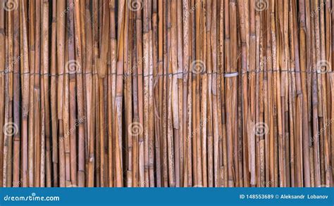 A Fence Of Straw In A Tropical Style Stock Image Image Of Large
