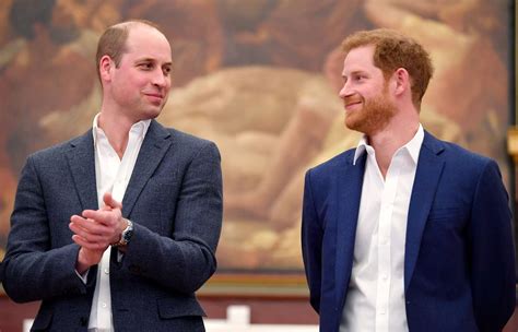 prince william and prince harry just united to honor princess diana