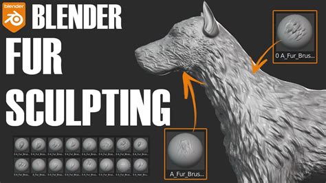 Blender Sculpting Fur How To Sculpt Hair And Fur In Blender Blender