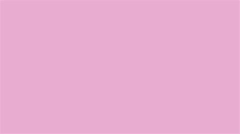 2560x1440 Pink Pearl Solid Color Background