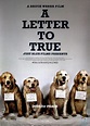 A Letter to True (2004) - Bruce Weber | Synopsis, Characteristics ...
