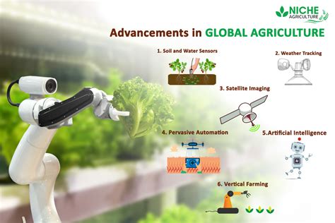 Top 5 Trends In Agriculture Will Be The Future Of Farming