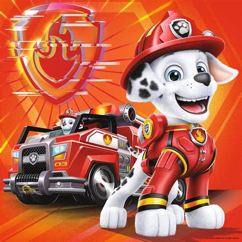 Puzzles 3x49 Pièces Patpatrouille Le Film Paw Patrol Chase